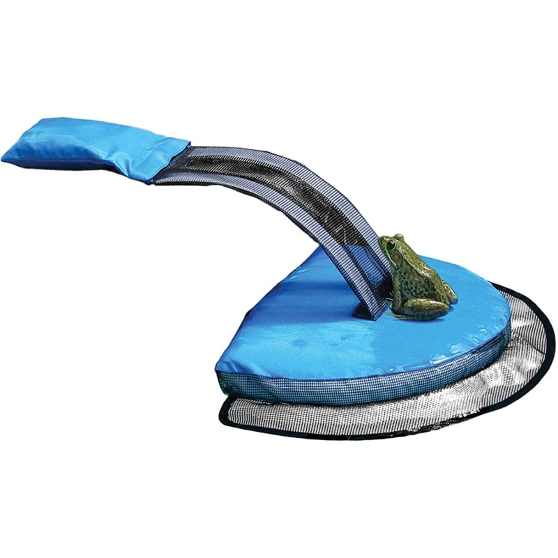 Frog Log Animal Escape Ramp